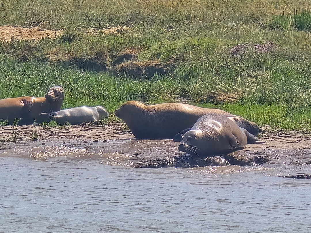 Discovery Seal Trips-Rochford必去景点