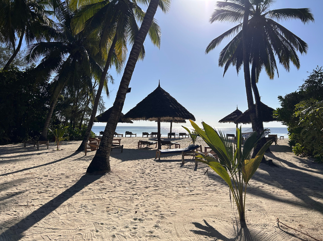 蓬圭海滩酒店主图