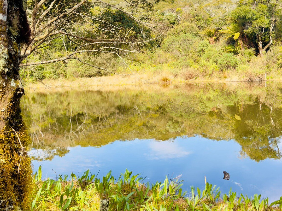 Mirante Serra Parque-Bom Jardim da Serra必去景点
