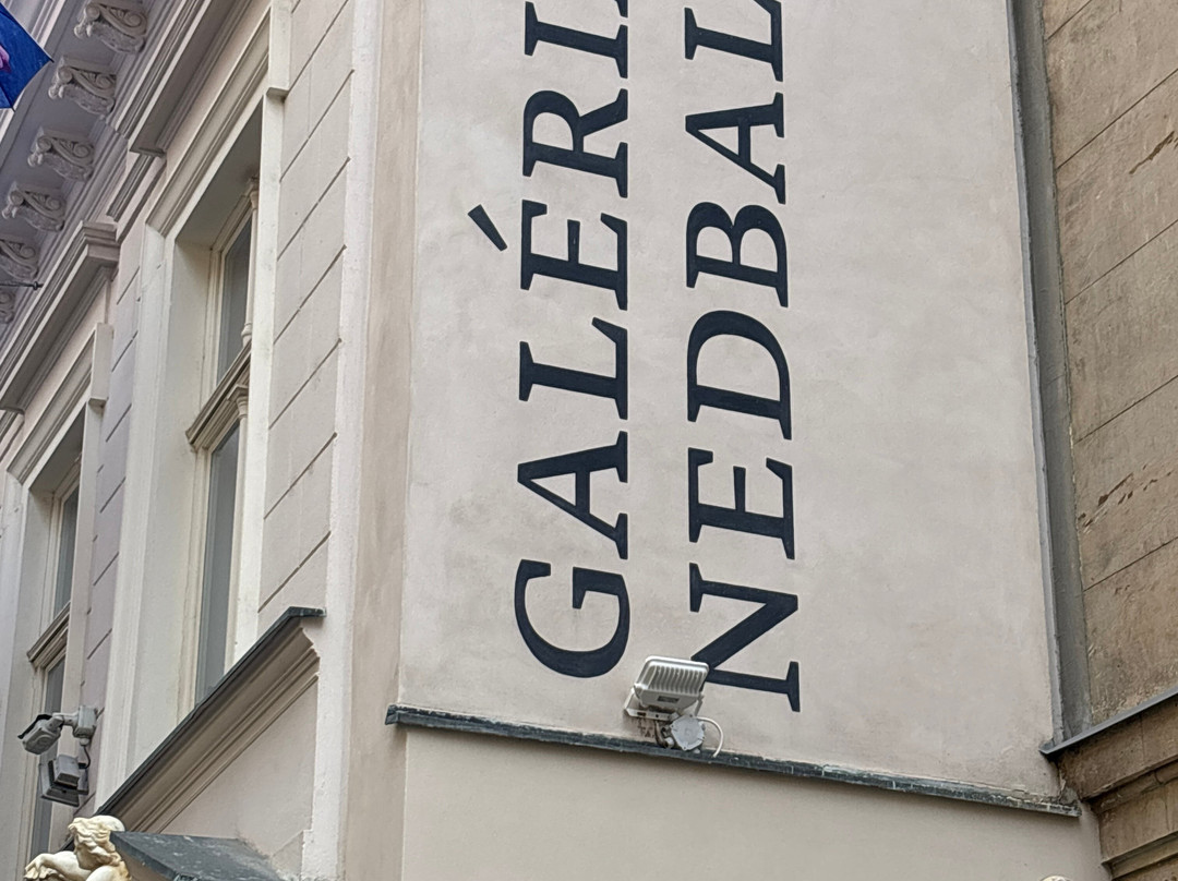 Nedbalka Gallery-布拉迪斯拉发必去景点
