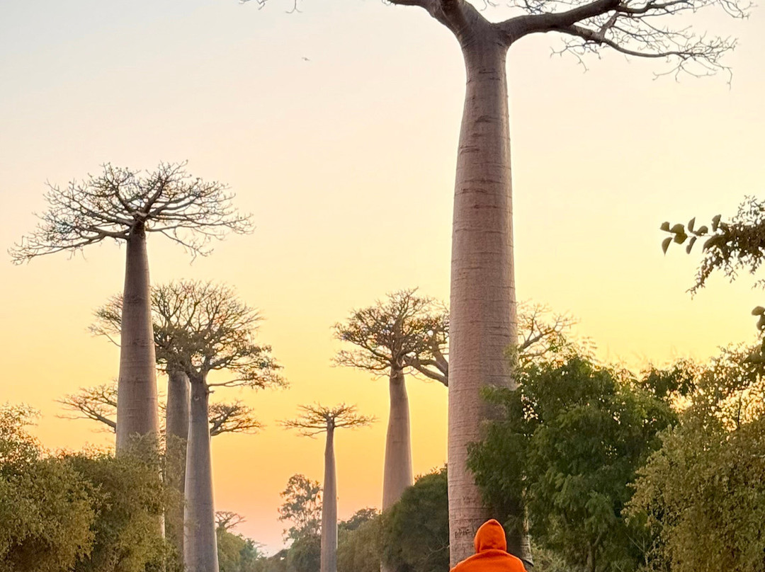 Wild-madagascar-tours-安塔那那利佛必去景点