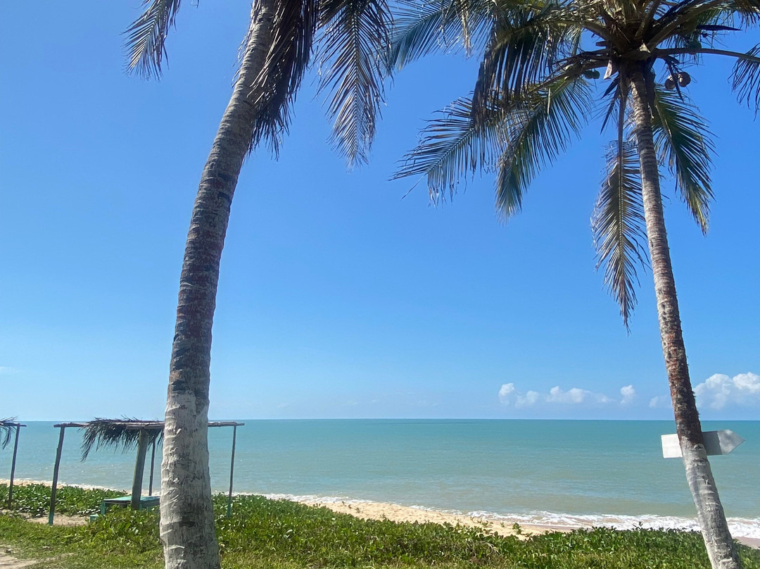 Farol Beach-Prado必去景点