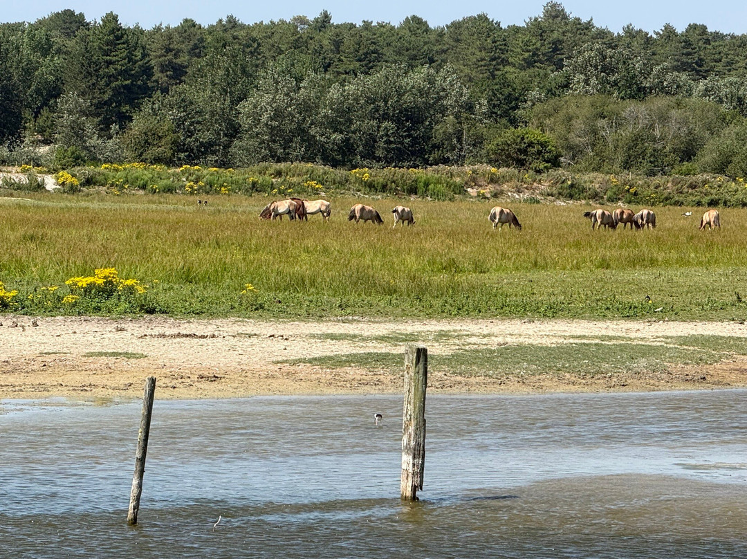Parc du Marquenterre-Saint-Quentin-en-Tourmont必去景点