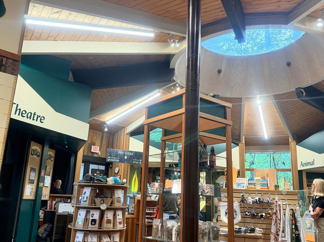 Lynn Canyon Ecology Centre-北温哥华必去景点