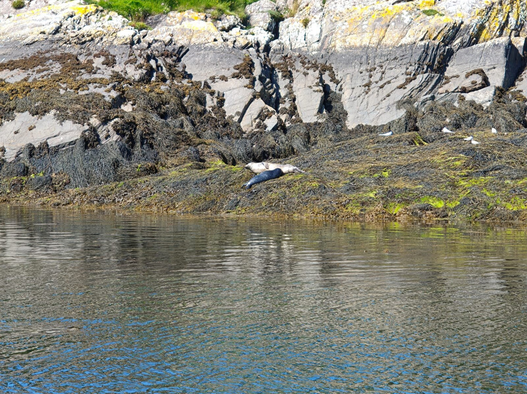 Ardnamurchan Charters-Acharacle必去景点