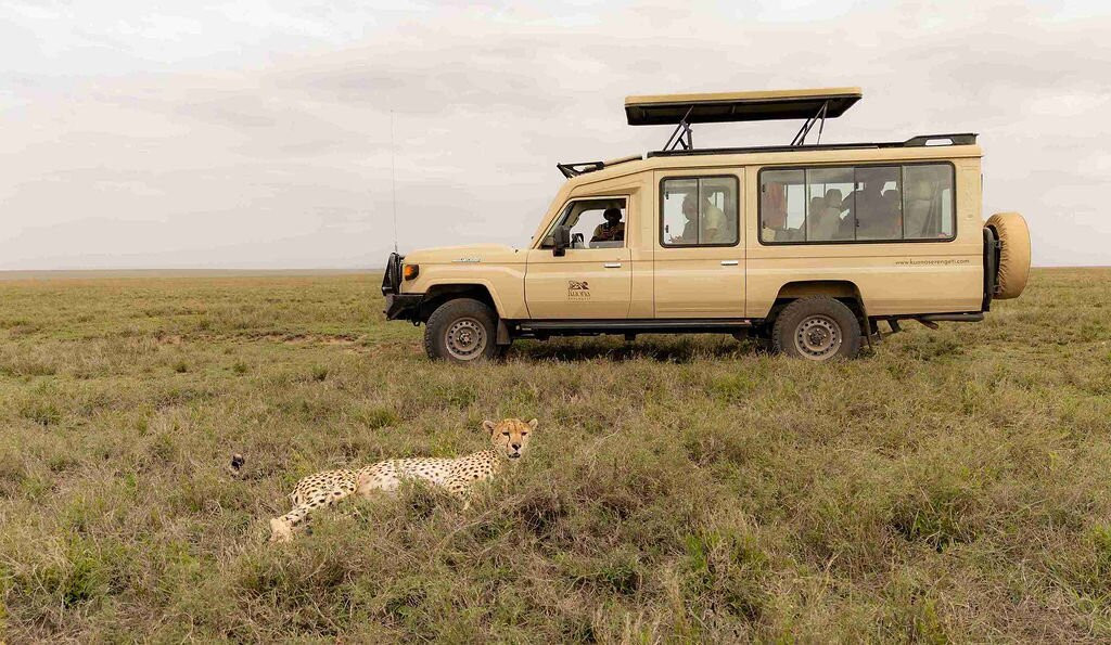 Kuona Serengeti