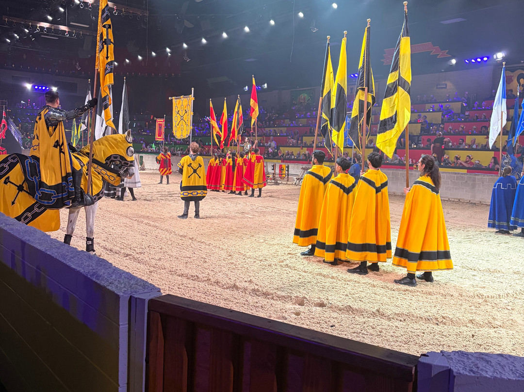 Medieval Times-绍姆堡必去景点