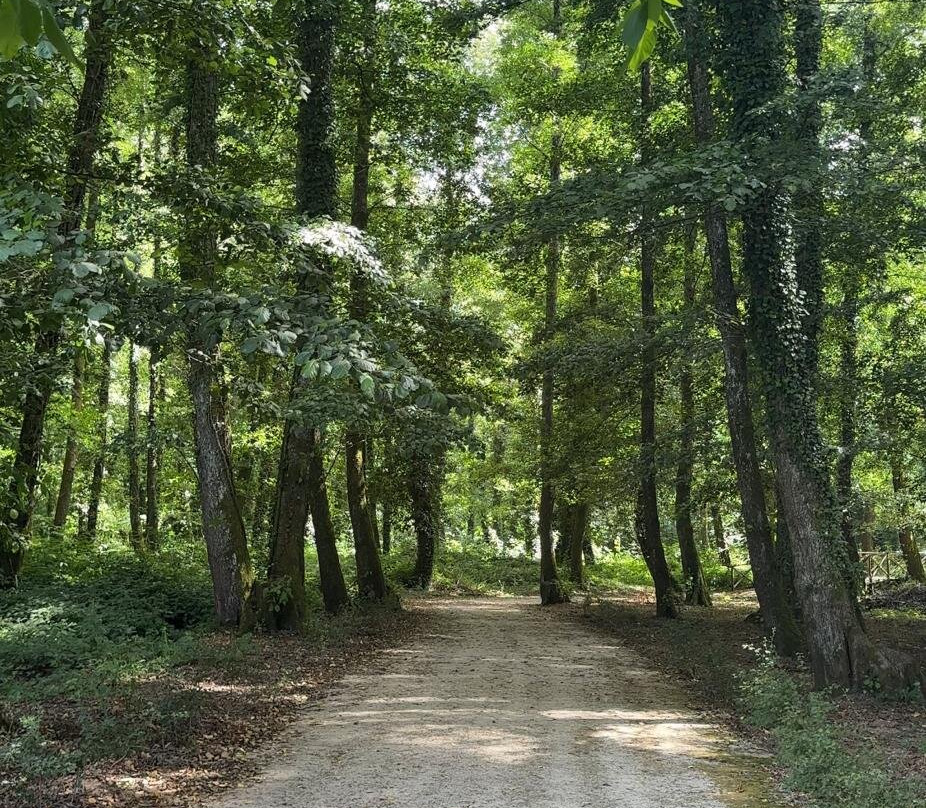 Cammino del Normanno-Serra San Bruno必去景点
