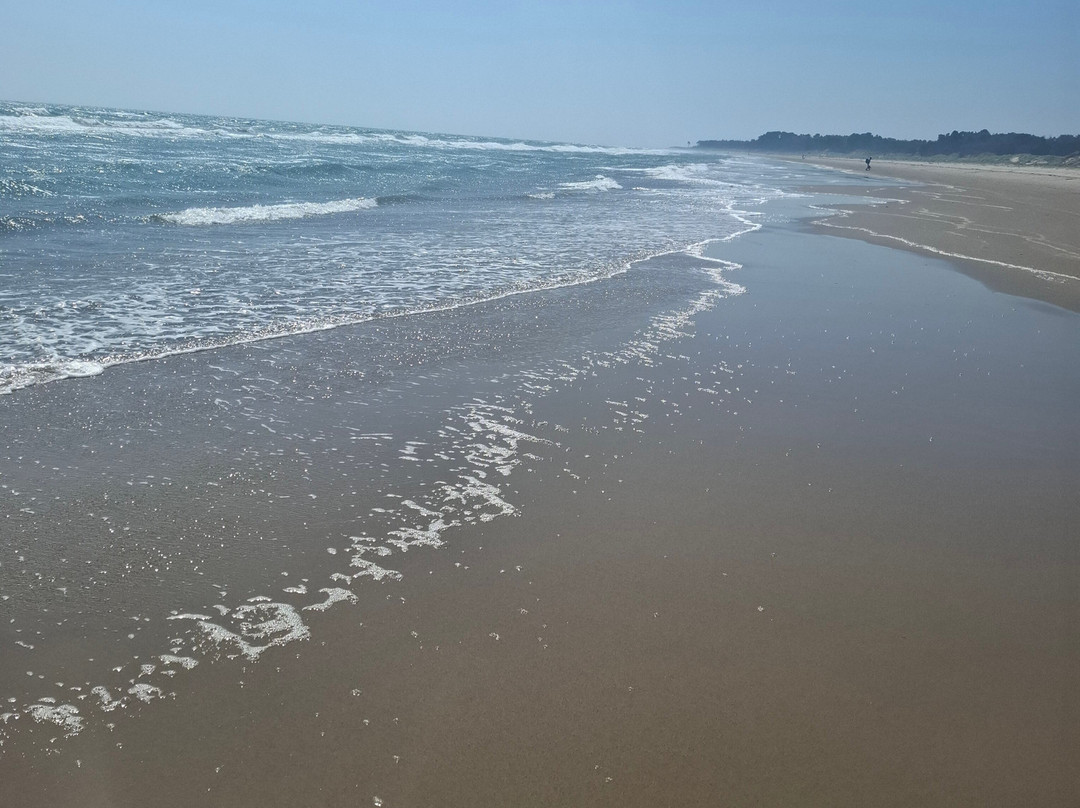 Curracloe Beach-Curracloe必去景点
