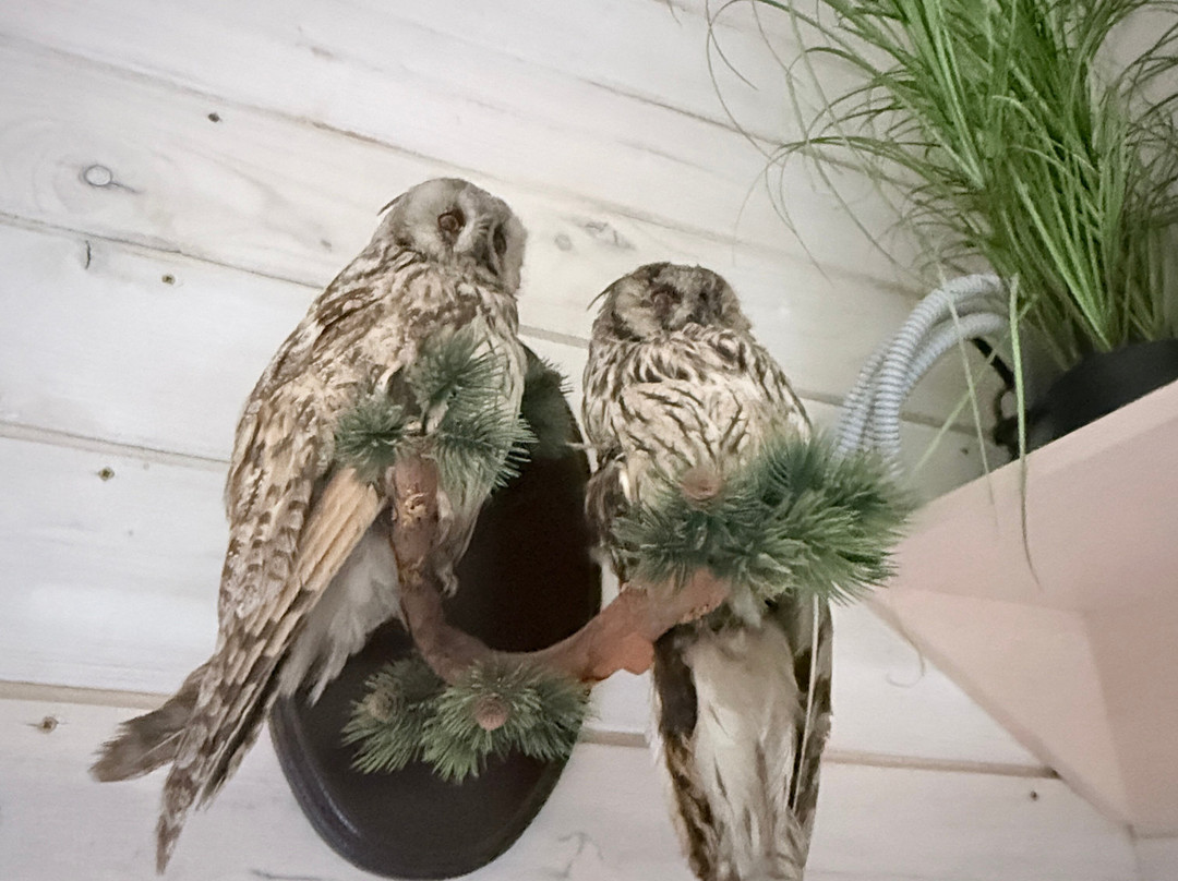 Tourist Center "Herring Royal Ambassador"主图