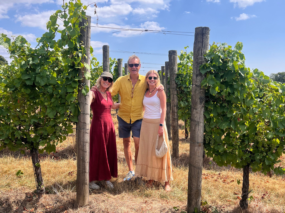 Woodchurch Vineyard-Woodchurch必去景点