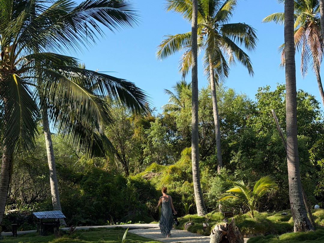 Virgin Cocoa - Tropical Hideaway Island主图