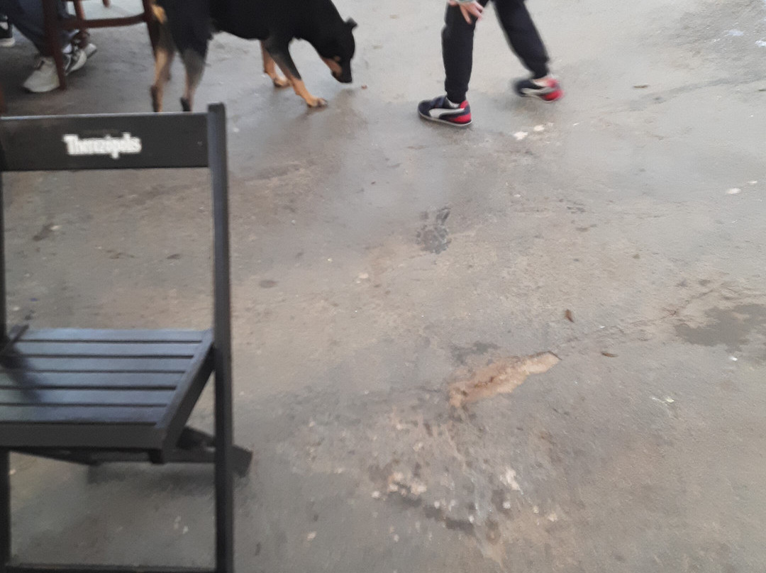 波可斯德卡塔尔斯庄园酒店主图