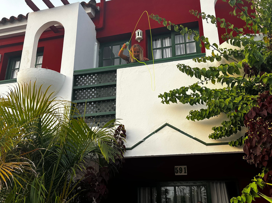 维斯塔弗洛平房主图