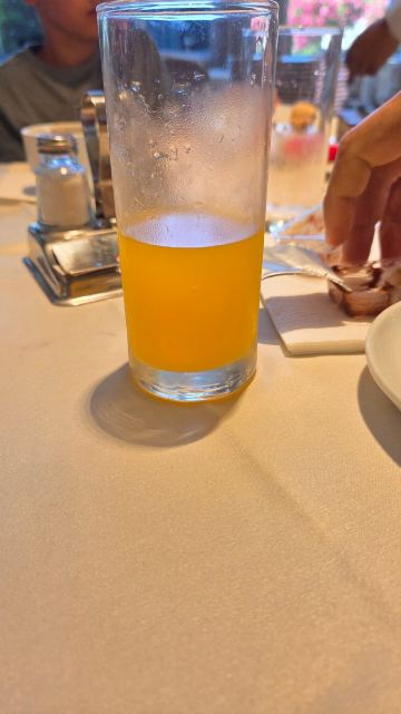 帕拉斯酒店-旅行者