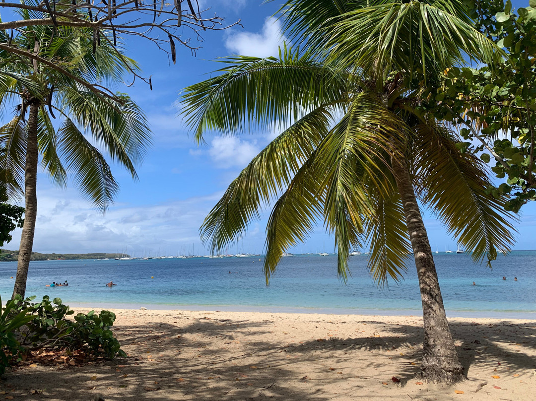 La Pointe Marin-Sainte-Anne必去景点