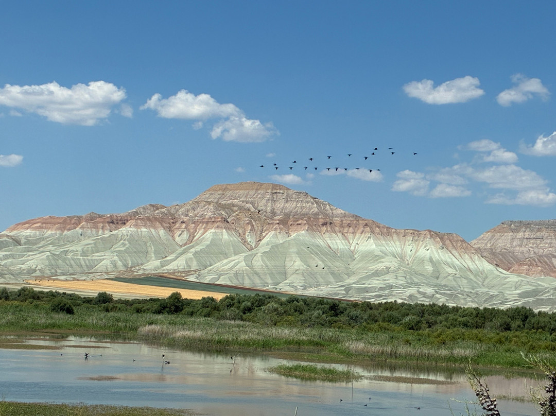 Nallıhan Bird Sanctuary-Nallihan必去景点