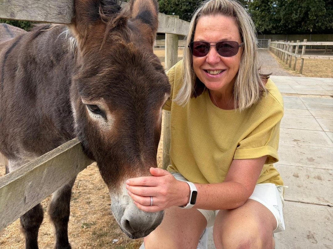 Hayling Island Donkey Sanctuary-海灵岛必去景点