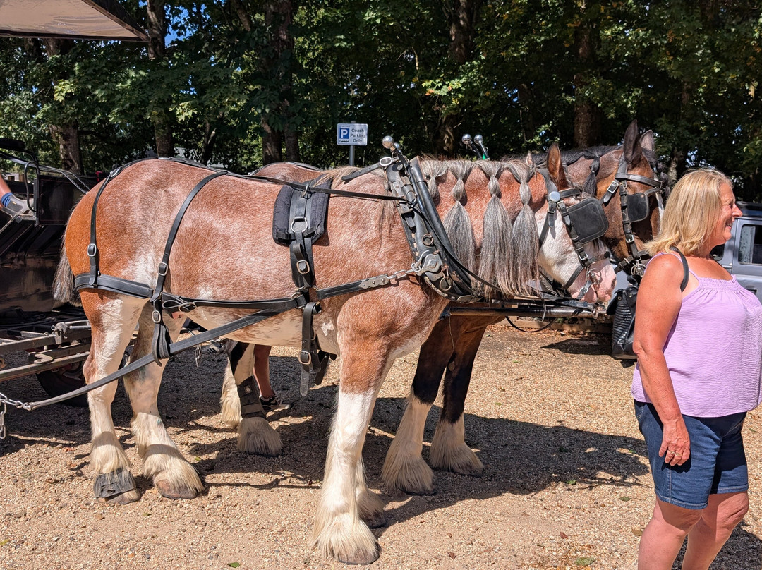 Burley Wagon Rides-Burley必去景点