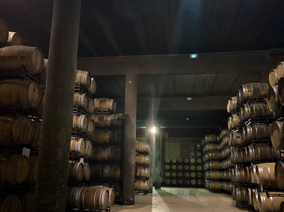 Bodega Hacienda Lopez de Haro-San Vicente de la Sonsierra必去景点