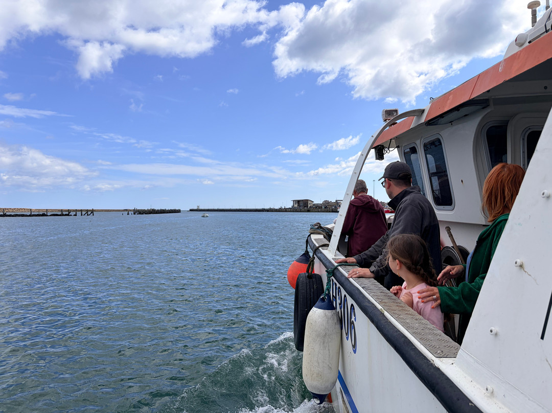 Amble boat trips-Amble必去景点