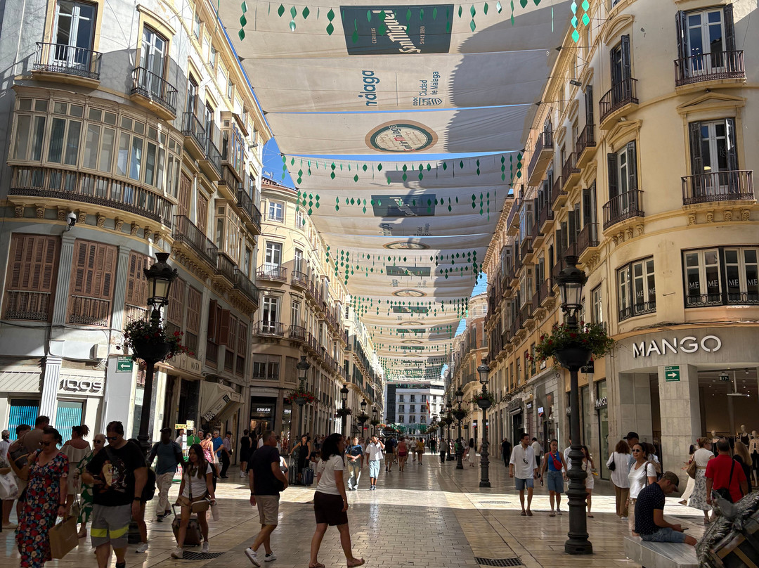 La Calle Larios-马拉加必去景点