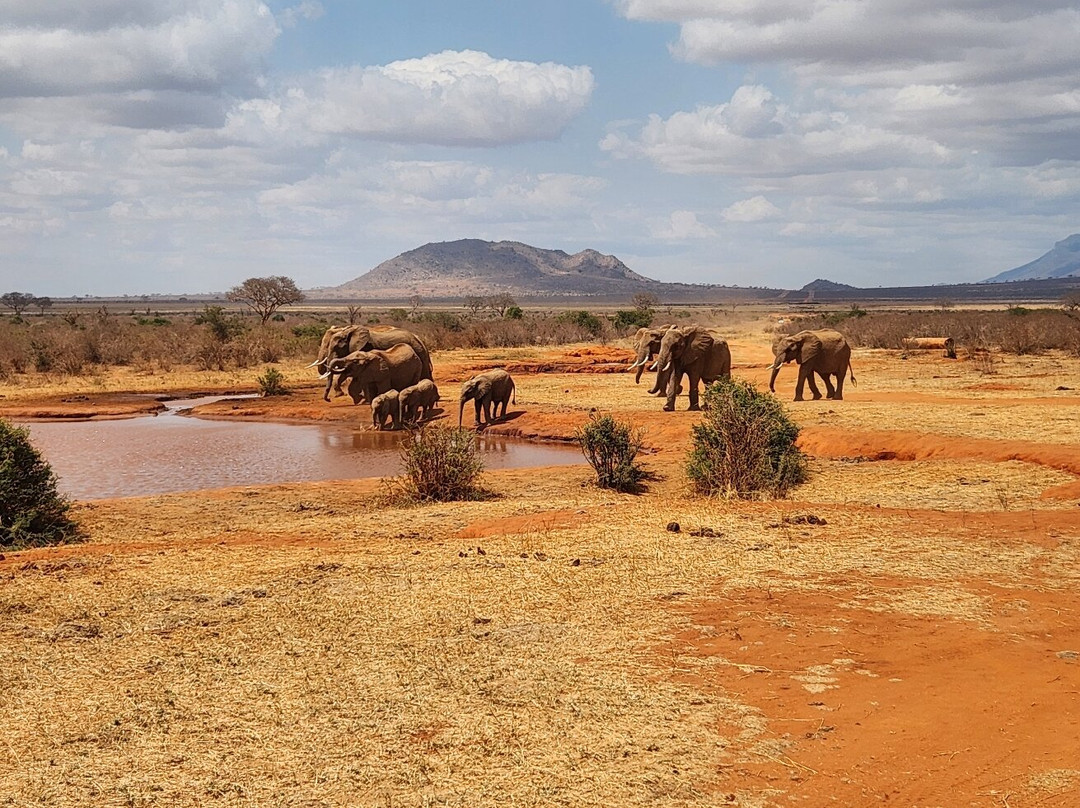 Explorer Kenya-内罗毕必去景点