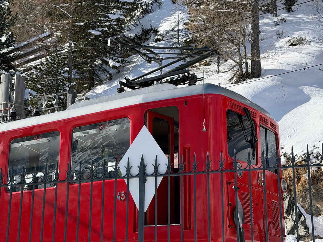 Montenvers – Mer De Glace-霞慕尼必去景点