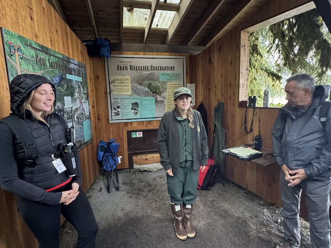 Anan Creek Bear Observatory-Wrangell必去景点