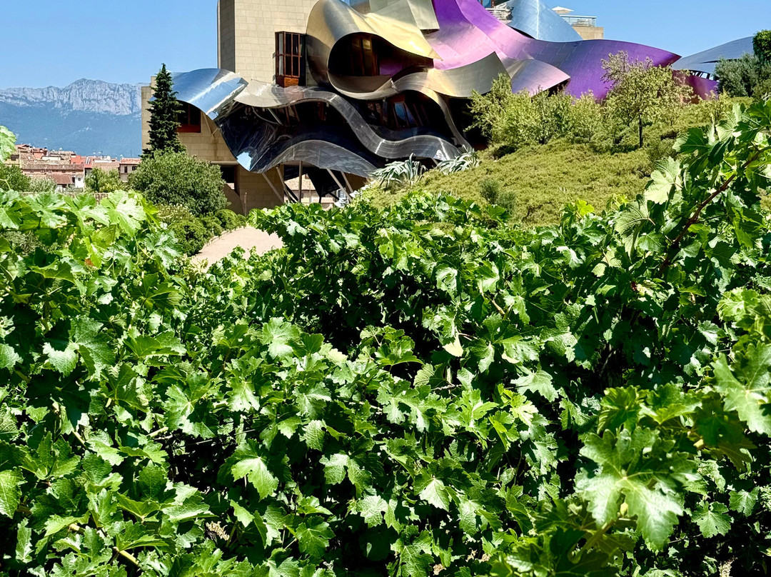Bodegas Marques de Riscal-Elciego必去景点