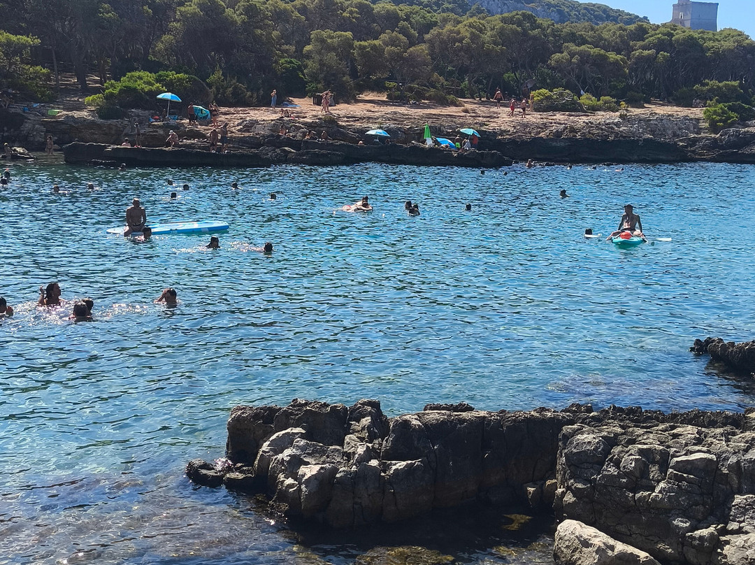 Parco Naturale Regionale di Porto Selvaggio-纳尔德奥必去景点