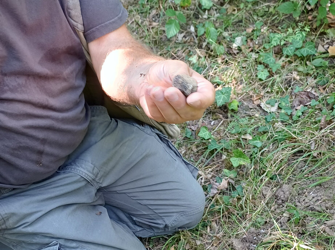 Truffle in Tuscany-圣米尼亚托必去景点