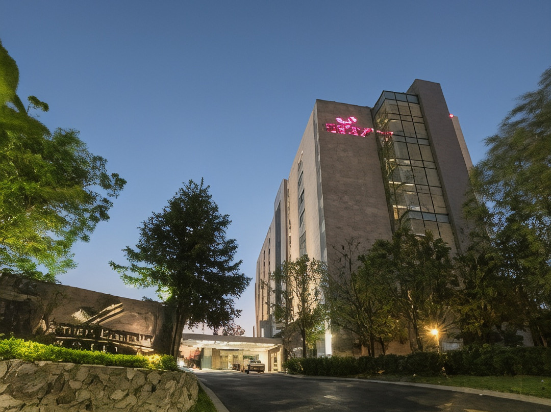 瓜达拉哈拉酒店住宿-Hotel Victoria Ejecutivo