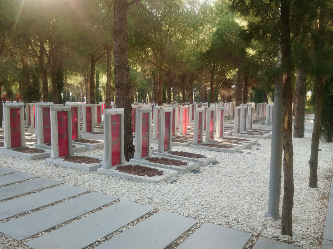 Canakkale Sehitleri Aniti-Eceabat必去景点