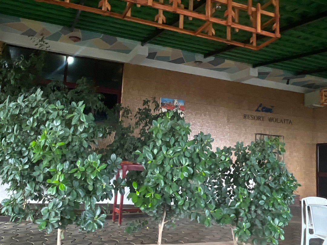 Lewi Resort Wolaita主图