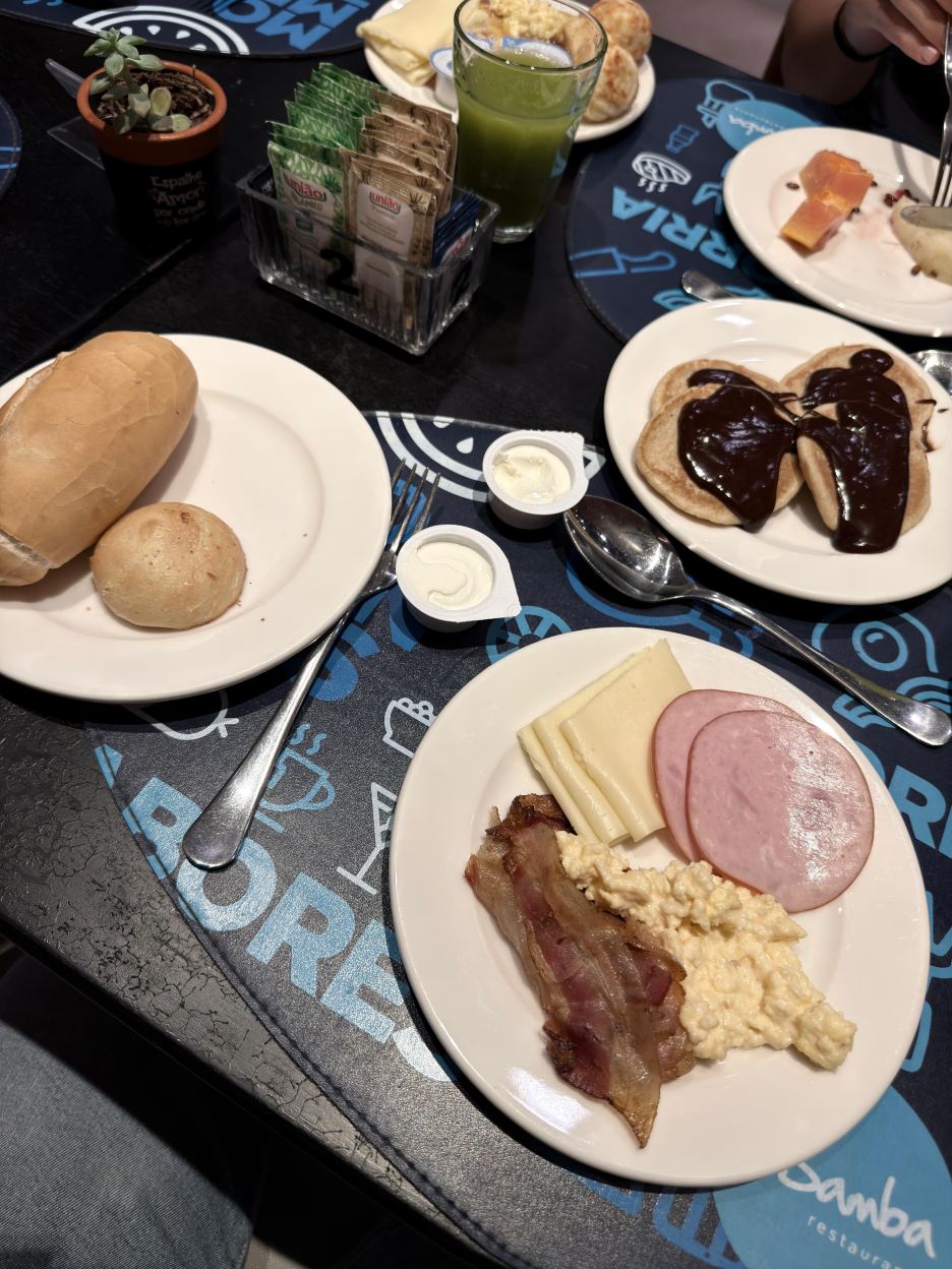 波本坎皮纳斯里约酒店-旅行者