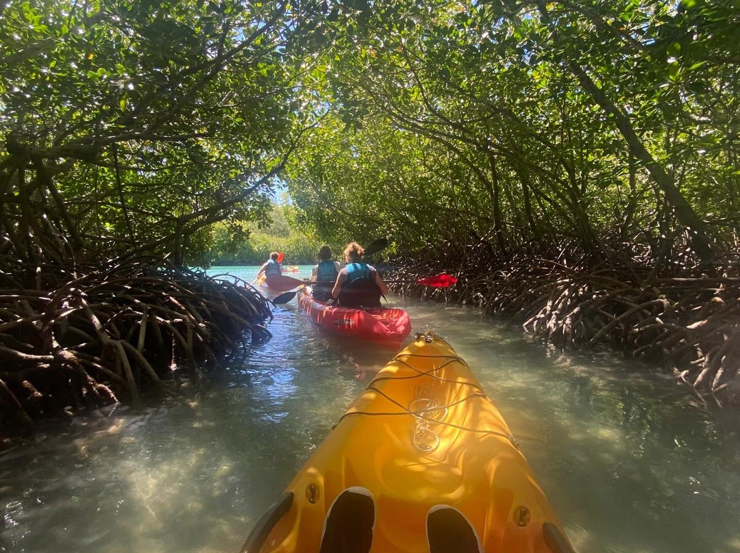 Sea Kayak Adventures-毛里求斯必去景点
