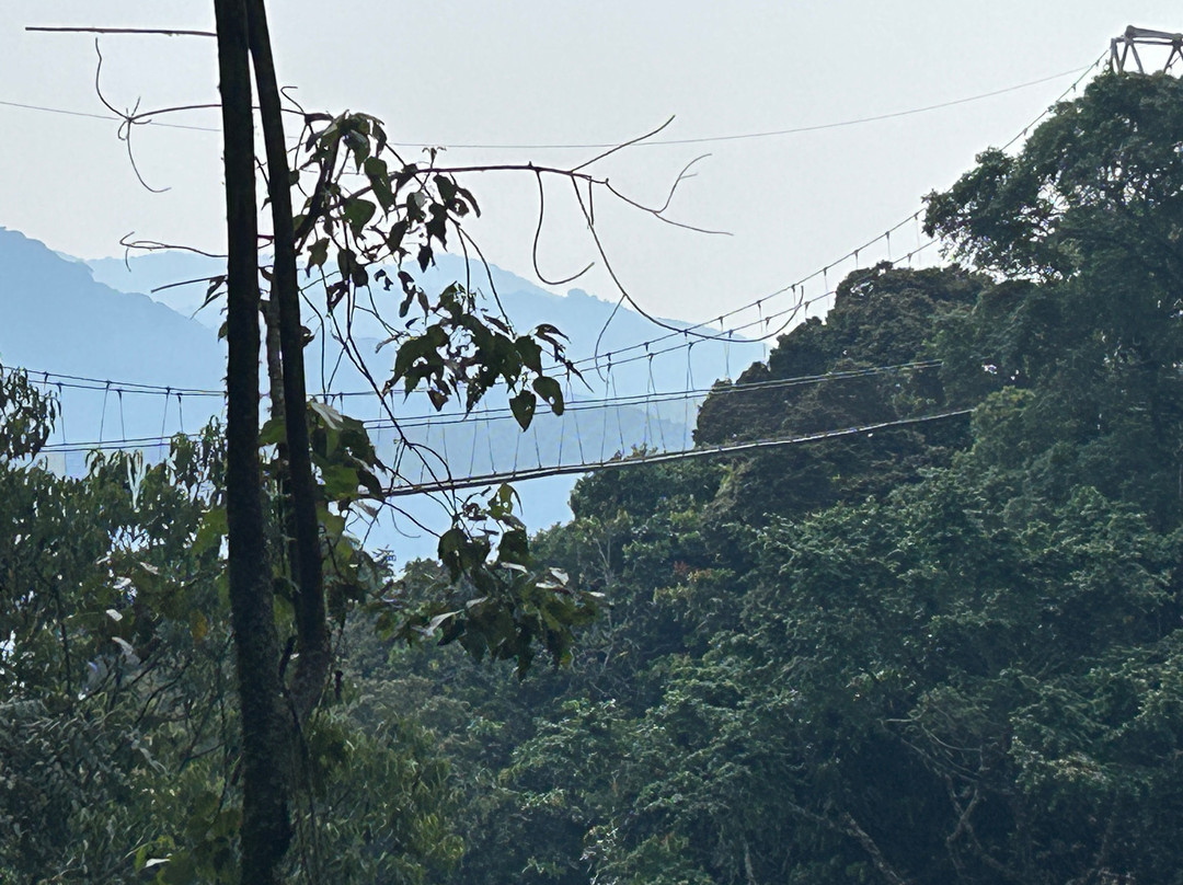 Nyungwe National Park - Rwanda-Western Province必去景点