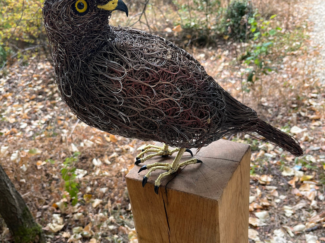 Cotswold Sculpture Park-Somerford Keynes必去景点
