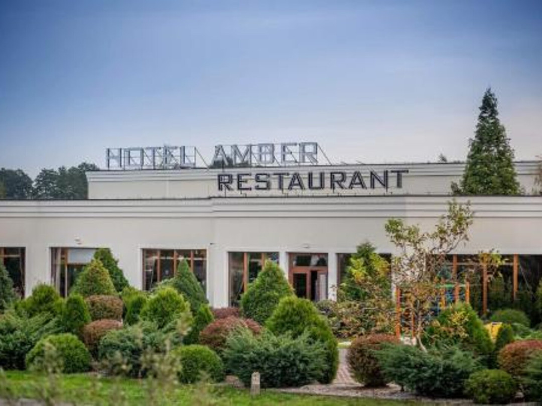 The Amber Business & Spa Hotel主图
