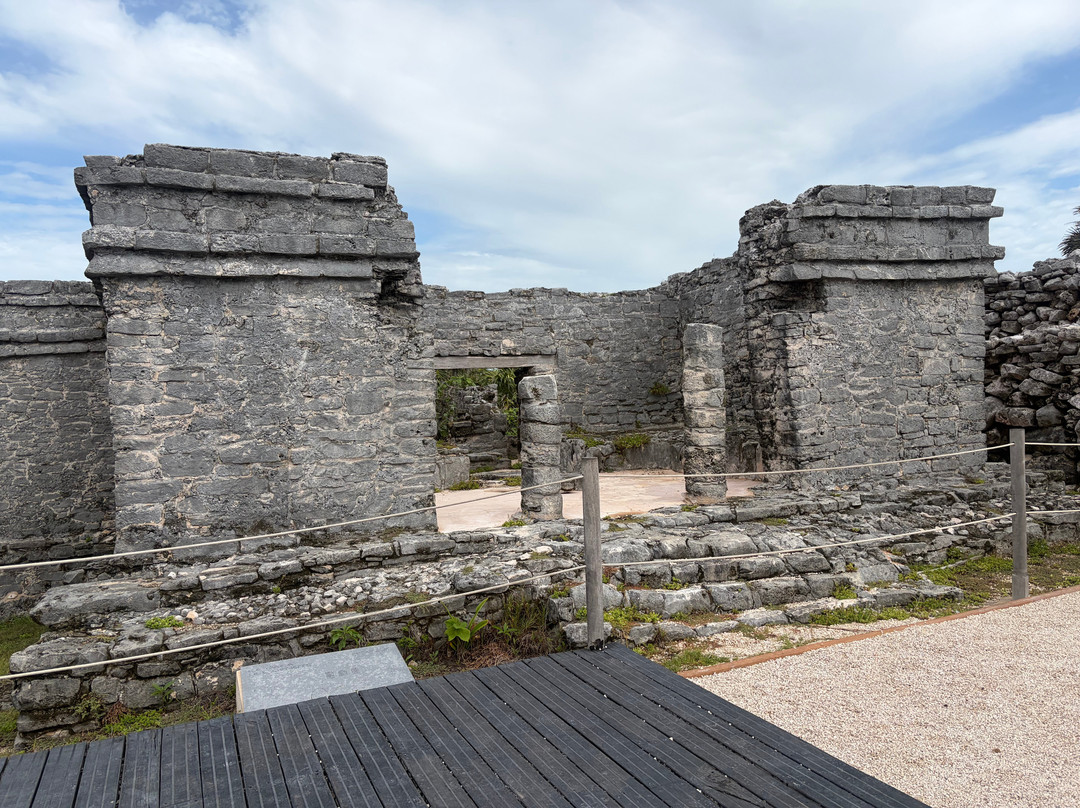 Vive Mayan Tours-普拉亚德尔卡曼必去景点