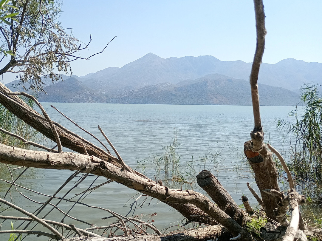 Skadar Lake Boat Cruising by Krsto-Vranjina必去景点