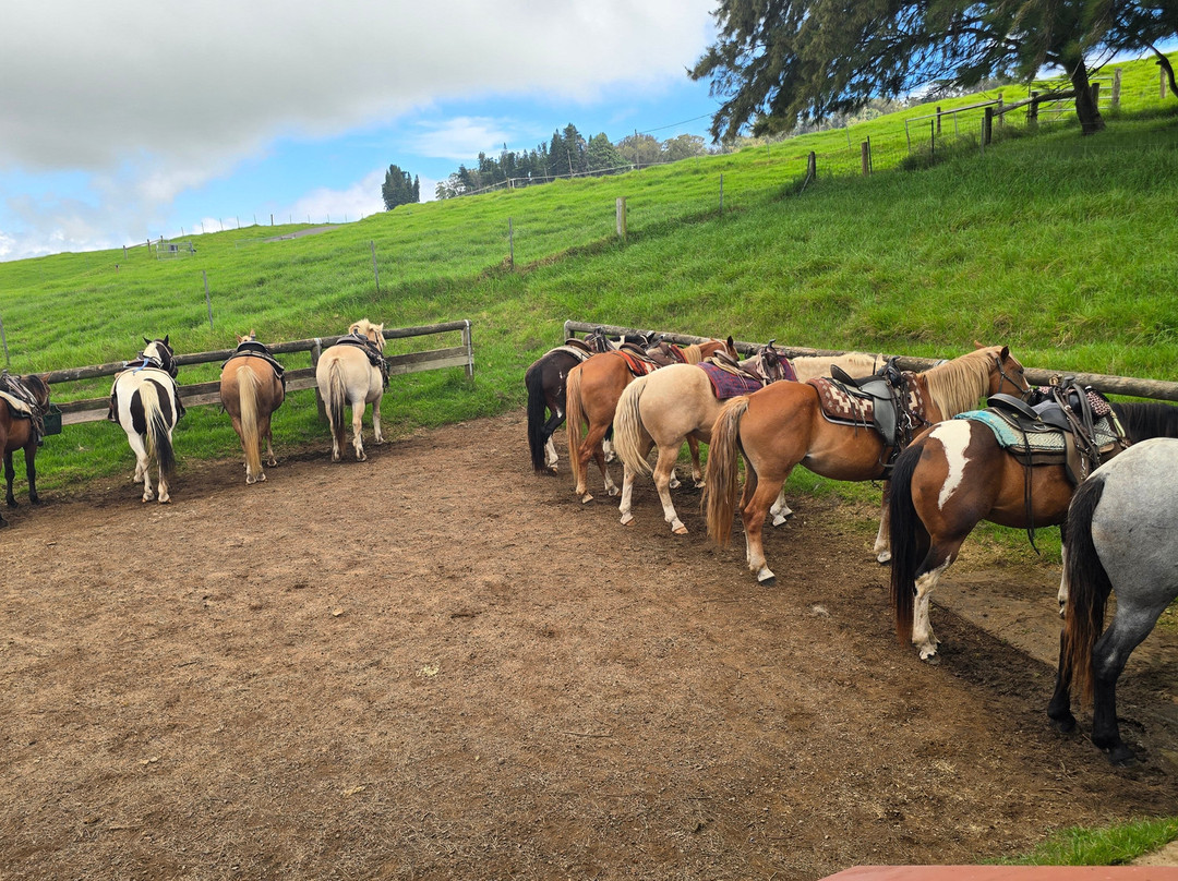 Na'alapa Stables - Kahua Ranch-卡慕也拉必去景点