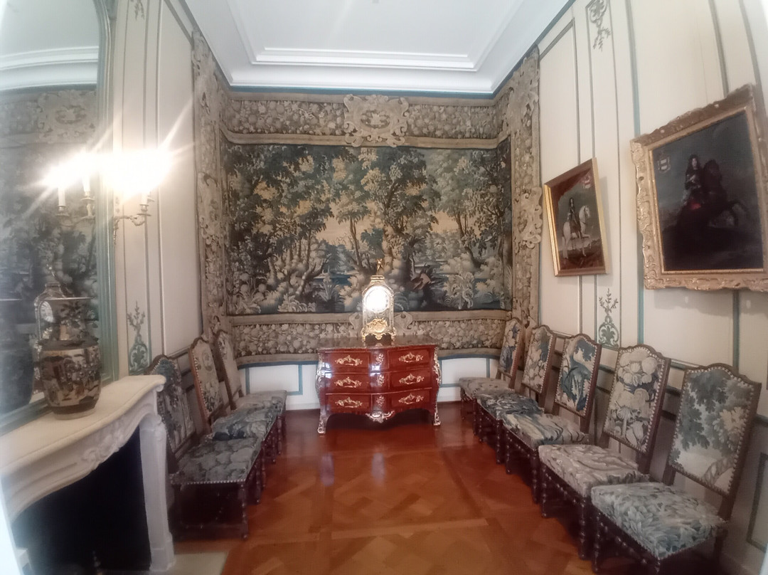 Château de Sully-sur-Loire-Sully-sur-Loire必去景点