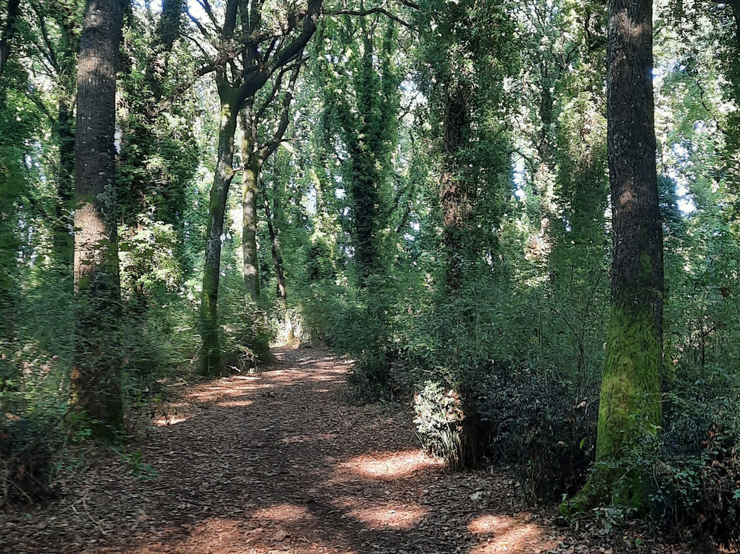 Il Bosco di Paliano-Paliano必去景点