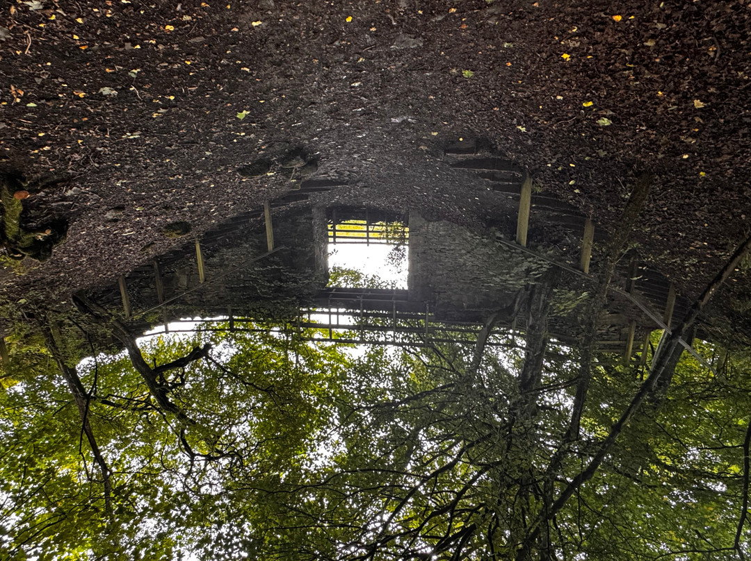 Skipton Castle Woods-斯基普顿必去景点