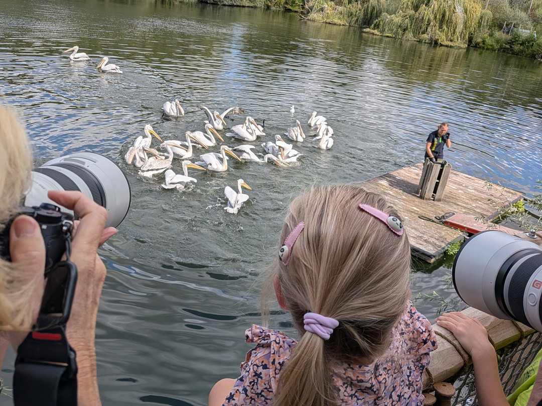 Vogelpark Avifauna-Alphen aan den Rijn必去景点