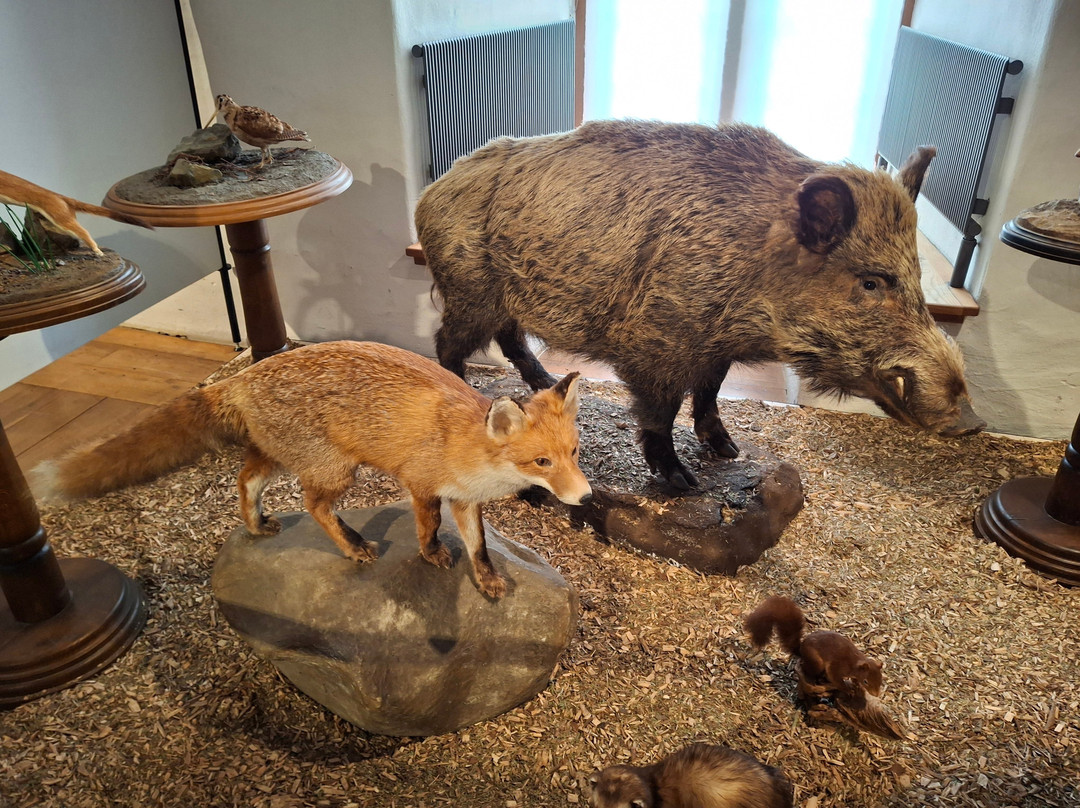 Hinterland Castle Museum Biedenkopf-Biedenkopf必去景点
