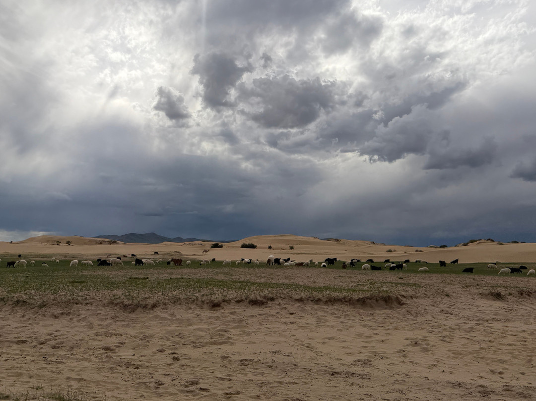 Elsen Tasarkhai Sand Dune-Bulgan必去景点