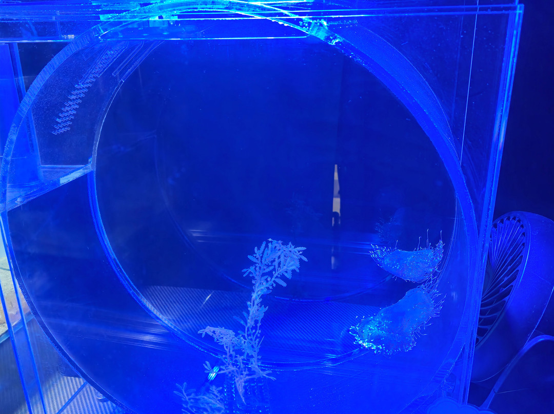 名古屋港水族馆-名古屋市必去景点